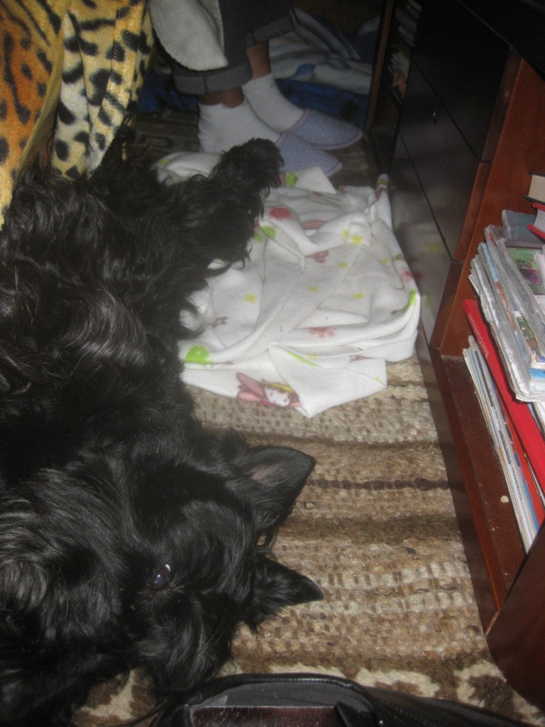 Macadam Sleeping in Early 2010