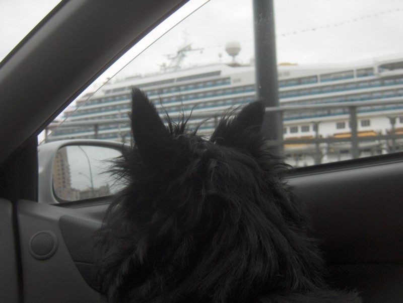 	Mac in Sport Car in front of Costa Fortuna Cruise Ship	