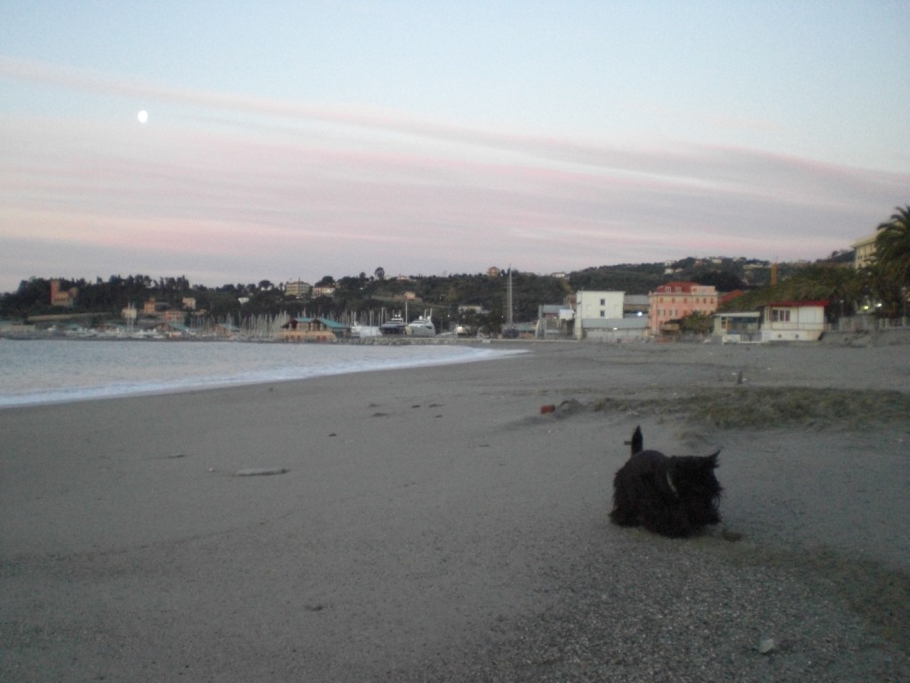 Macadam On the Beach, 2008